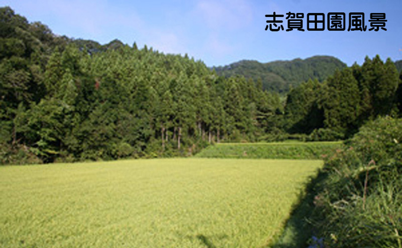 宮城県岩沼市のふるさと納税 宮城県岩沼市産　志賀沢米　金のいぶき　玄米5kg お米 宮城県産