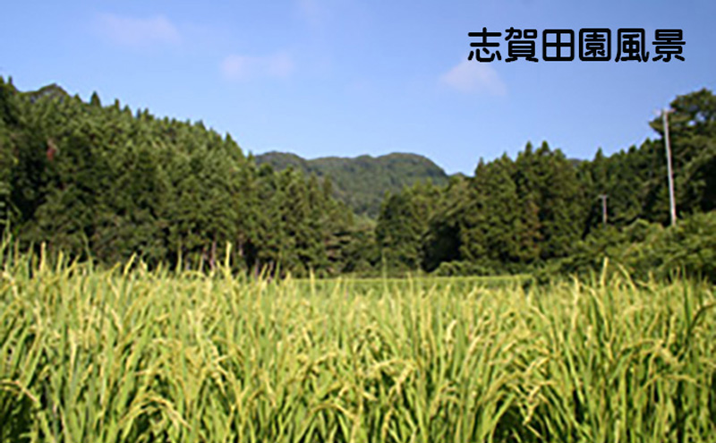 宮城県岩沼市のふるさと納税 宮城県岩沼市産　志賀沢米　金のいぶき　玄米5kg お米 宮城県産