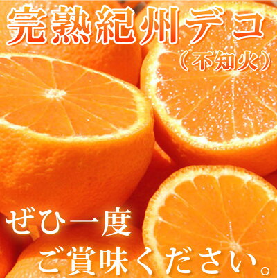 和歌山県湯浅町のふるさと納税 G7061_【先行予約】果肉プリプリ♪完熟 紀州デコ(不知火) 3kg