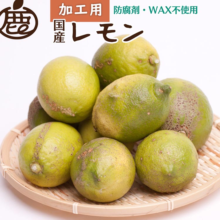 無農薬レモン 加工用20kg ※北海道、東北、沖縄への発送