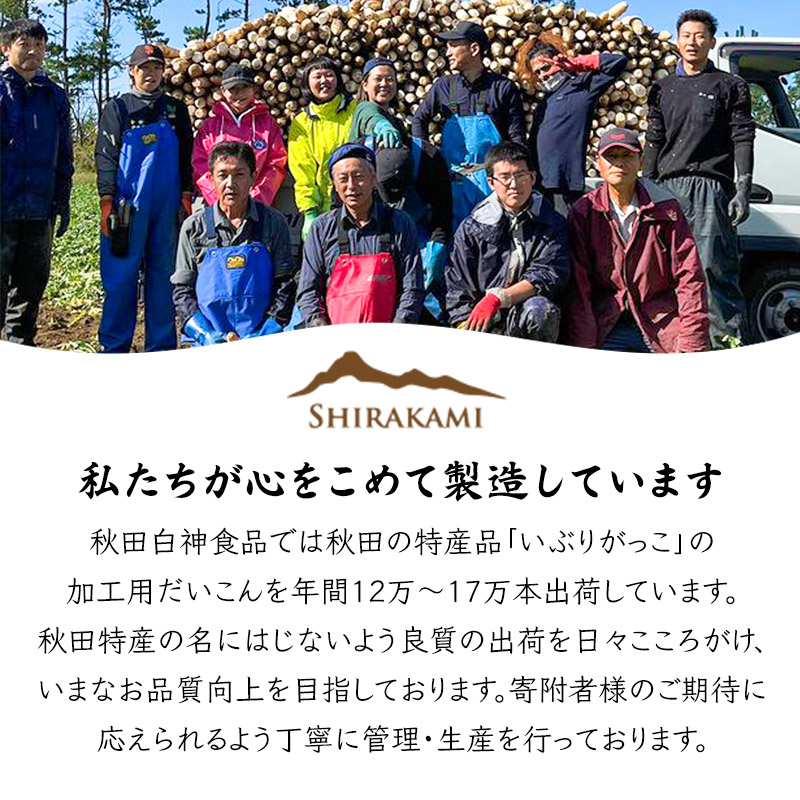 秋田県三種町のふるさと納税 おかずがっこ食べ比べ（甘口・甘辛）150g 各2パック、計4パック ゆうパケット