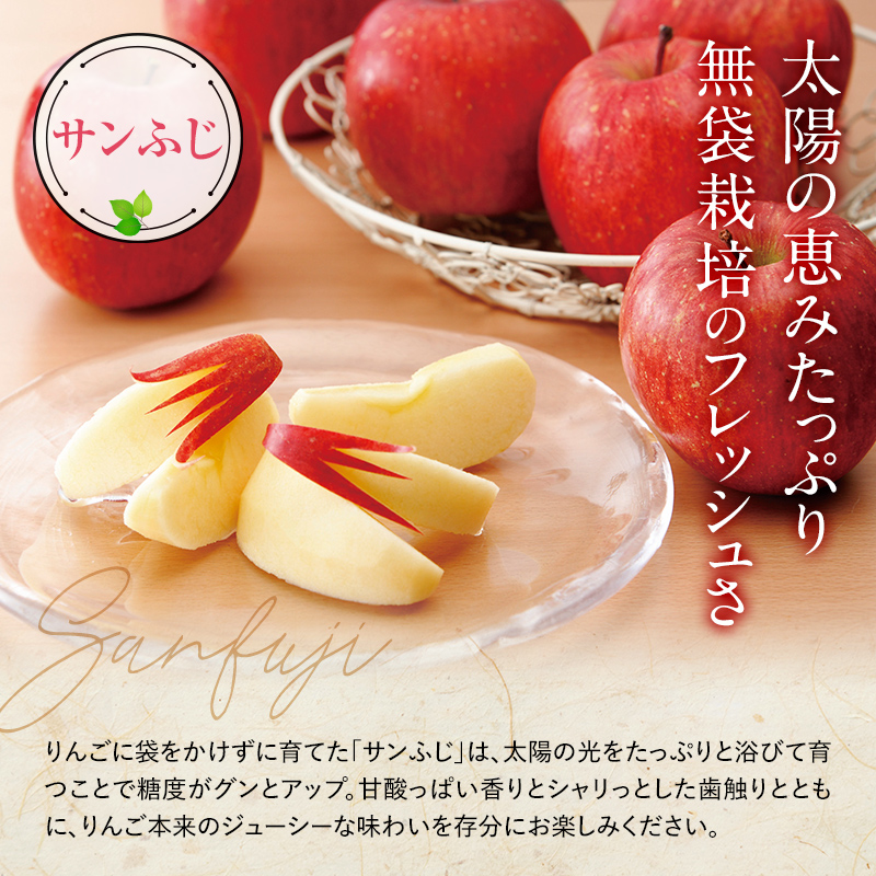 山形県南陽市のふるさと納税 【令和6年産先行予約】 りんご 「サンふじ」 約5kg (12～23玉 秀品) 《令和6年12月上旬～令和7年2月下旬発送》 『カネタ高橋青果』 リンゴ 山形県 南陽市 [1960]