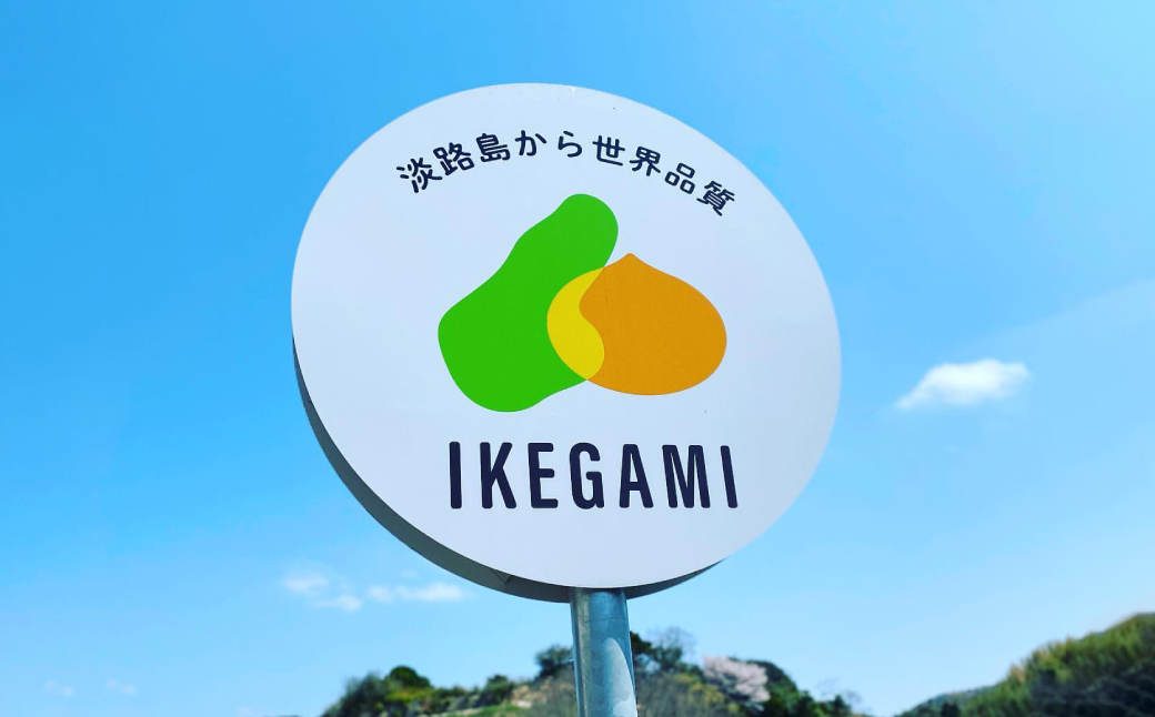 兵庫県淡路市のふるさと納税 淡路島　池上農場の完熟たまねぎ「あやたけ」5kg　　[玉ねぎ 玉葱 淡路島 玉ねぎ たまねぎ]