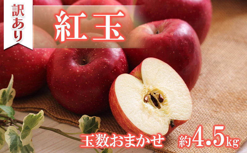 訳ありりんご 紅玉 約4.5kg 玉数おまかせ 小玉 りんご リンゴ 林檎 信州りんご 紅玉りんご 果物 フルーツ 旬の果物 旬のフルーツ デザート お菓子作り 訳あり 訳アリ 長野 長野県 箕輪町