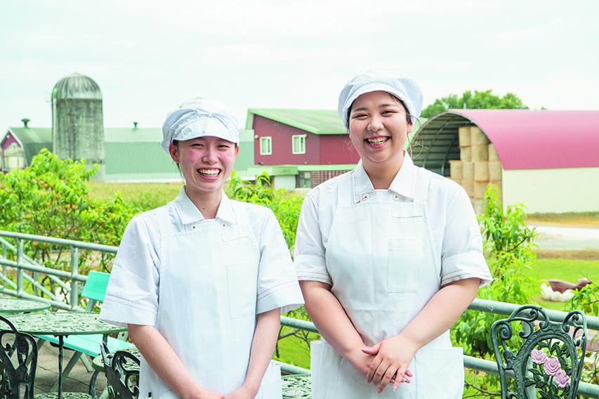 北海道池田町のふるさと納税 北海道　牧場の生ソフトクリーム10個　アイスクリーム