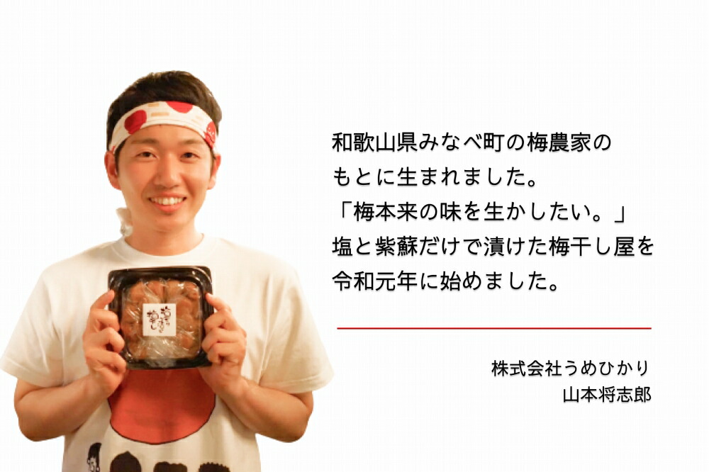 EP6022_【常温保管可能 】天日塩と紫蘇だけで漬けた無添加梅干し EP6022_【常温保管可能 】天日塩と紫蘇だけで漬けた無添加梅干し