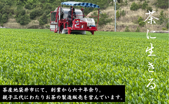 静岡県袋井市のふるさと納税 厳選　深蒸し新茶(2)（80ｇ×5袋）