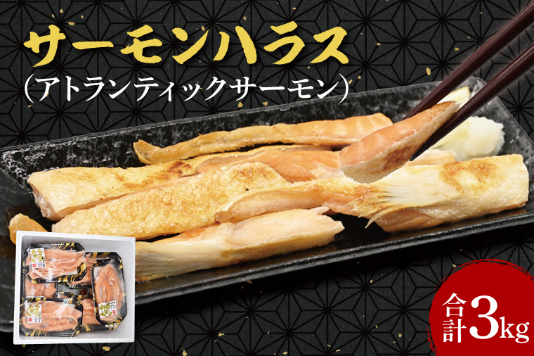 y錧zT[ nX 3kg (200×15p) AgeBbNT[  ͂炷  Ђ  ċ Ă   CN CY Ⓚ H꒼  ܂
