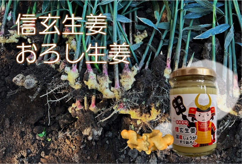 生生姜 楽天市場】生姜 [ジンジベル] ほんきのしょうが糖 35g /生姜