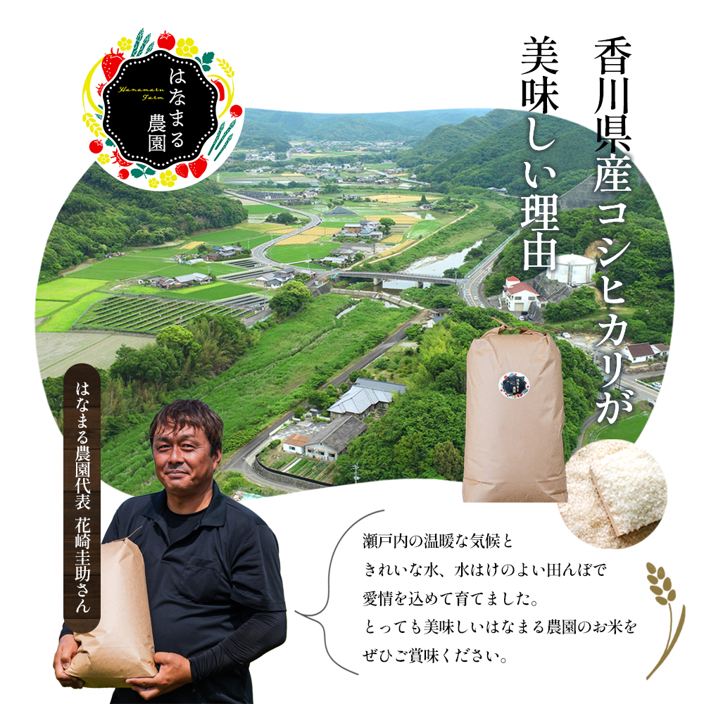 香川県東かがわ市のふるさと納税 はなまる農園令和6年新米香川県産「コシヒカリ（玄米）30kg」