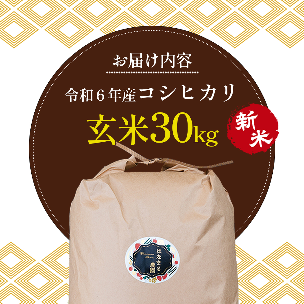 香川県東かがわ市のふるさと納税 はなまる農園令和6年新米香川県産「コシヒカリ（玄米）30kg」