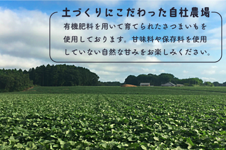 茨城県行方市のふるさと納税 DK-4　【芋屋久兵衛】冷凍焼き芋 500ｇ×4袋