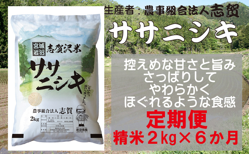 【6ヶ月定期便】宮城県岩沼市産 志賀沢米 ササニシキ 精米2kg