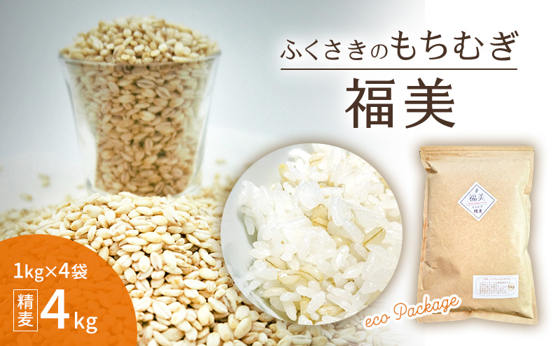 yɌ蒬zӂ̂ނuv1kg×4 4kg eco Package GRpbP[W