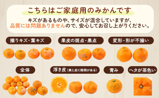 和歌山県美浜町のふるさと納税 家庭用 小玉な有田みかん2.5kg+250g（傷み補償分）【わけあり・訳あり】【光センサー選果】 ※北海道・沖縄・離島への配送不可 ※2025年11月上旬～2026年1月下旬頃に順次発送予定