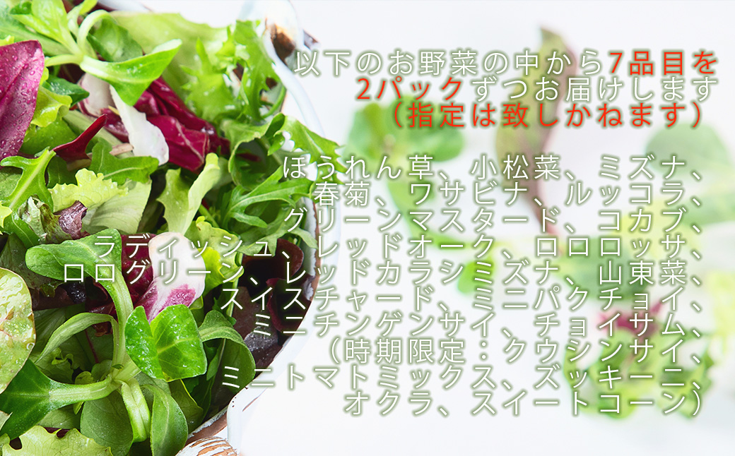 CQ020_【定期便】オーガニック葉物野菜セット【植物性で育てた CQ020_【定期便】オーガニック葉物野菜セット【植物性で育てた