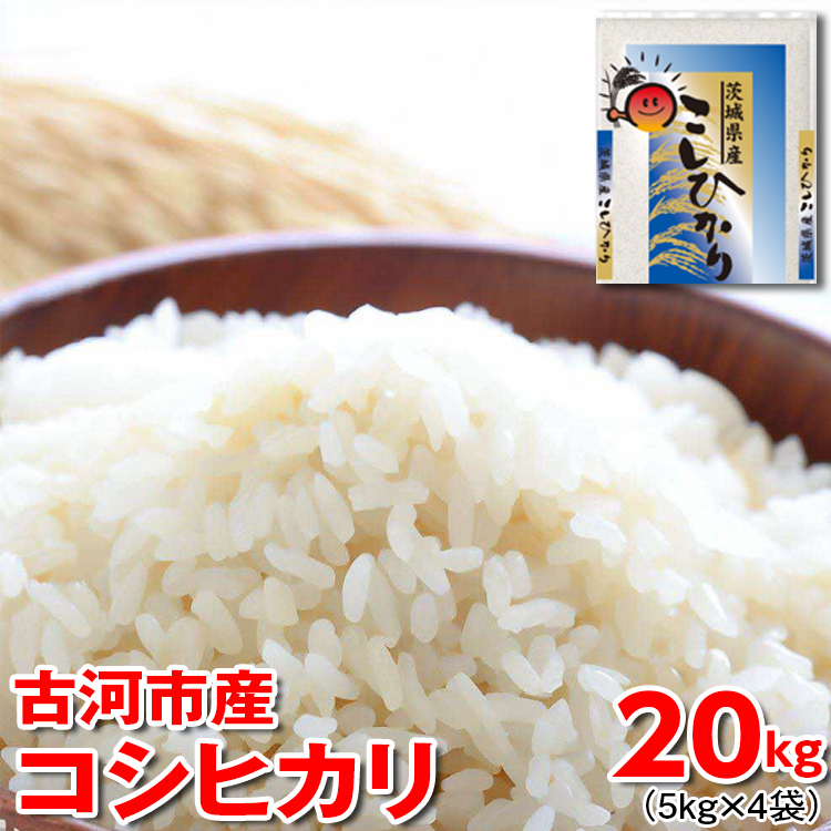 [新米]令和6年産 古河市産 コシヒカリ 20kg(5kg×4袋) | 米 こめ コメ 20キロ こしひかり コシヒカリ 古河市産 茨城県産 贈答 贈り物 プレゼント 茨城県 古河市 直送 産地直送 送料無料 _DP24