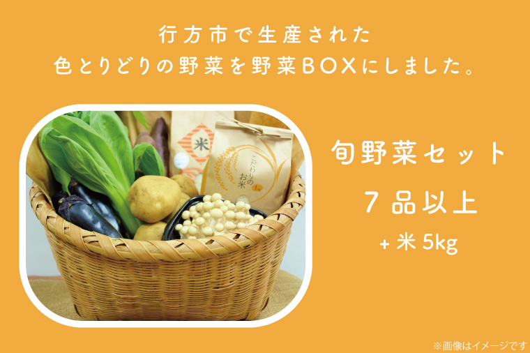 茨城県行方市のふるさと納税 CU-135　野菜王国なめがたの旬野菜便（米入り）