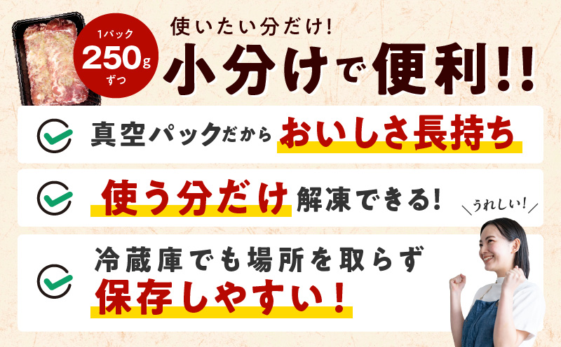 大阪府泉佐野市のふるさと納税 ねぎ塩 牛たん（成型）合計 1.5kg 小分け 250g×6【牛タン 牛肉 焼肉用 薄切り 訳あり サイズ不揃い】 G1169