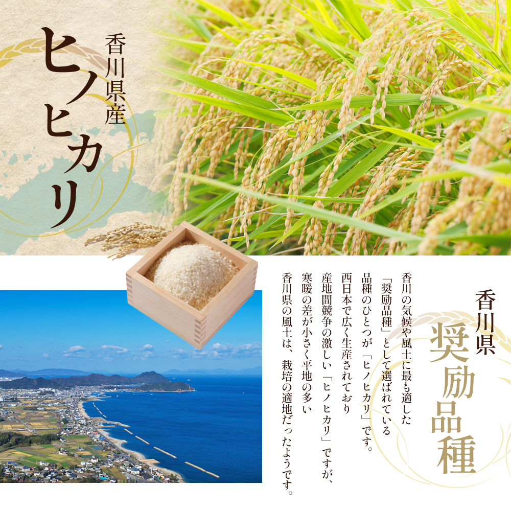 令和6年産 新米「ヒノヒカリ」30kg（玄米） / 香川県東かがわ市 | セゾンのふるさと納税