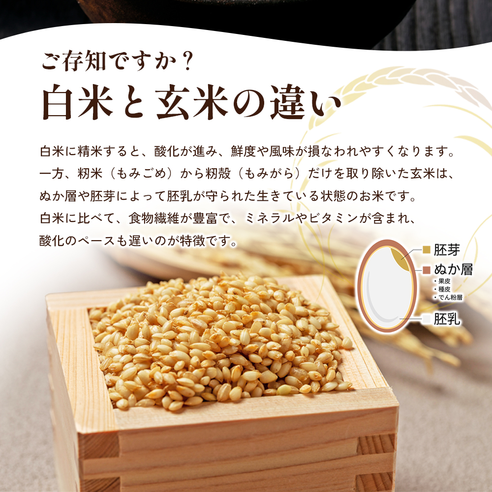 令和6年産 新米「ヒノヒカリ」30kg（玄米） / 香川県東かがわ市 | セゾンのふるさと納税