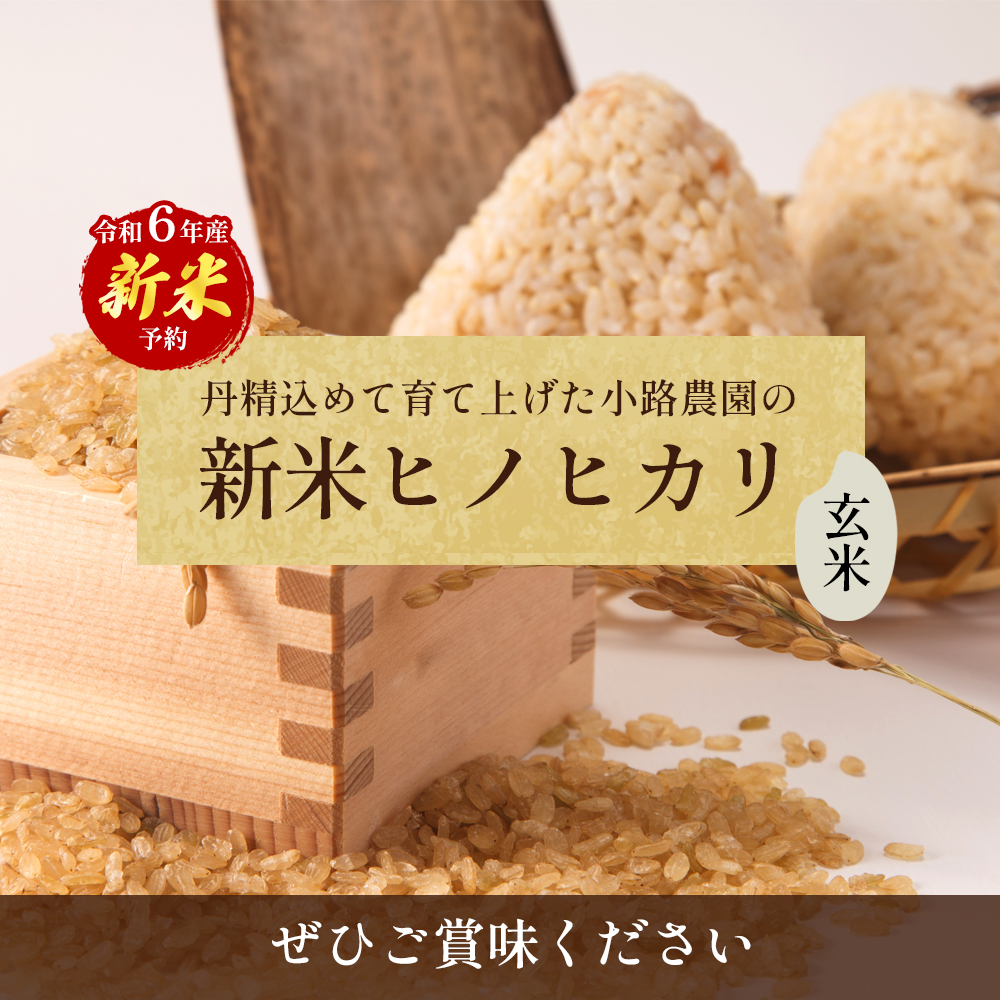 令和6年産　新米「ヒノヒカリ」30kg（玄米）|小路　憲一