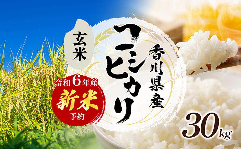 令和6年産 新米「コシヒカリ」30kg（玄米）（香川県東かがわ市