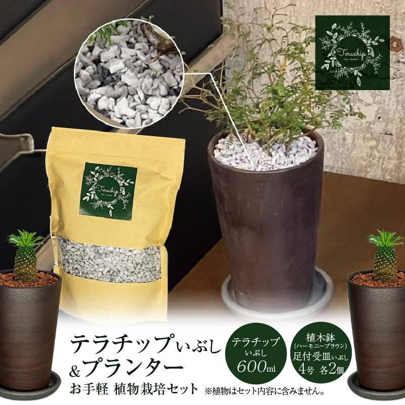 三河焼植木鉢ハーモニーブラウン【テラチップいぶし】プランター お手軽植物栽培セット H188-003|有限会社丸俊セラミック　 TEL0566-41-1427