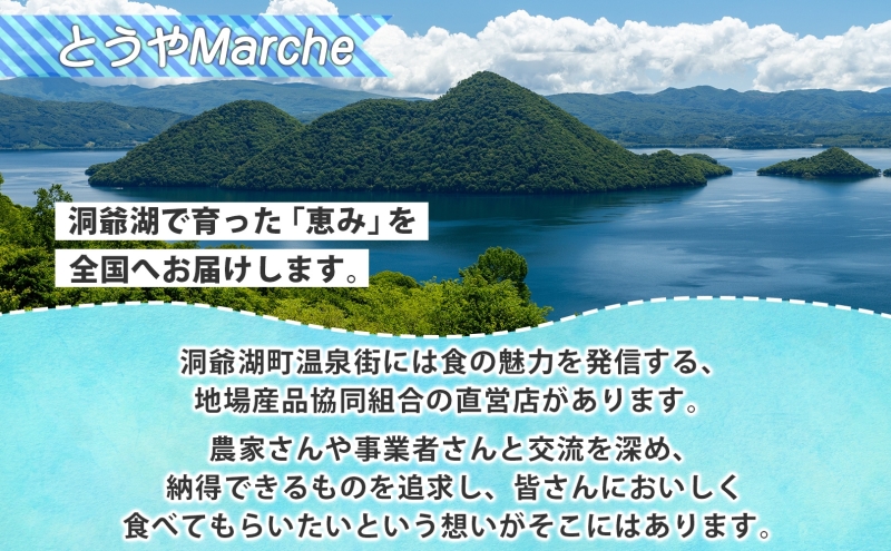 北海道洞爺湖町のふるさと納税 北海道産 活ほたて 2年貝 約 2kg 15枚～22枚 2025年3月中旬～3月下旬頃お届け 殻付き 帆立 ホタテ ほたて 貝 魚介 海産 海鮮 貝柱 噴火湾 刺身 焼き フライ 生産者支援 産地直送 送料無料 北海道