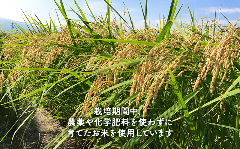 岡田農園のハツシモで作った玄米ポンせん / 岐阜県海津市