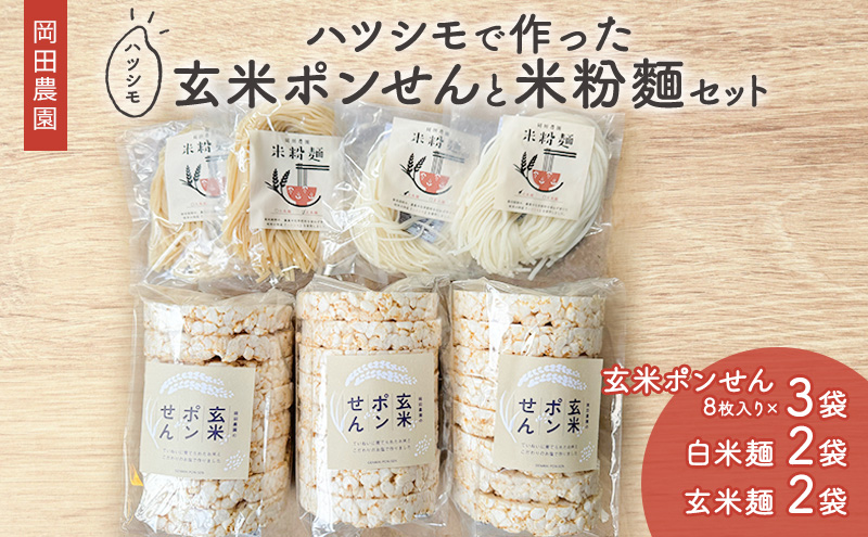 【岐阜県海津市】岡田農園のハツシモで作った玄米ポンせんと米粉麺