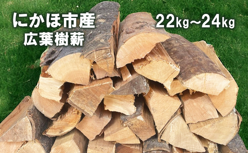 yHcɂَszHcɂَsY d 30cm Lt(TNj22`24kg LvEdXg[up