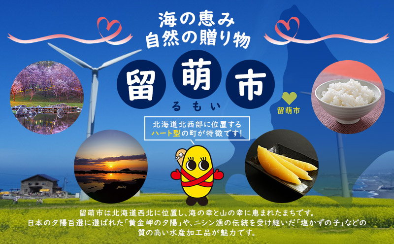 北海道留萌市のふるさと納税 米 米-1グランプリ金賞 北海道 無洗米 ゆめぴりか 10kg （ 5kg ×2袋） 南るもい産 お米 こめ コメ おこめ 白米 ふるさと納税米 ふるさと 南るもい さとうファーム 留萌