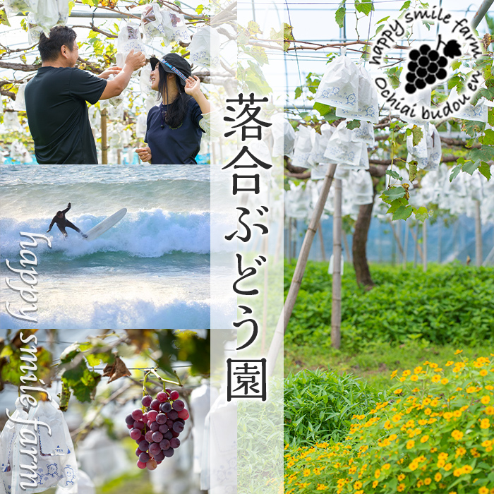 鹿児島県阿久根市のふるさと納税 ＜選べるアクティビティ＞happy smile farm アクティビティ体験チケット(サーフィン or SUP or BIG SUP or リバートレッキング or 登山/2名様) サーフィン サップ リバトレ レジャー 自然 マリンスポーツ アウトドア 山登り【落合ぶどう園】a-40-8-z