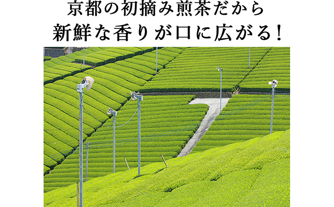 桜皮茶筒と最高峰煎茶と玉露のセット　宇治茶の木谷製茶場|株式会社木谷製茶場