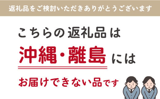 山梨県昭和町のふるさと納税 【アウトレット】炭酸水メーカー　シルバー　炭酸ガス2本 SWAC005-2