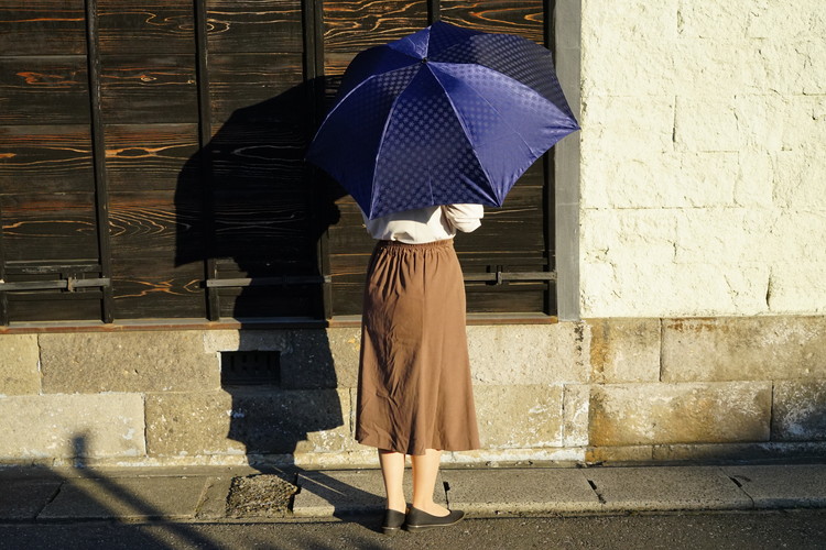 BL16_雪華模様の折り畳み傘（サイズ60cm）カラー：ネイビー 茨城県古河市 セゾンのふるさと納税