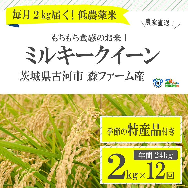 [定期便]1年間毎月届く!低農薬米ミルキークイーン2kg | 米 こめ コメ 2キロ 定期便 低農薬米 ミルキークイーン みるきーくいーん 特産品 古河市産 茨城県産 贈答 贈り物 プレゼント 茨城県 古河市 直送 農家直送 産地直送 送料無料 _BI04