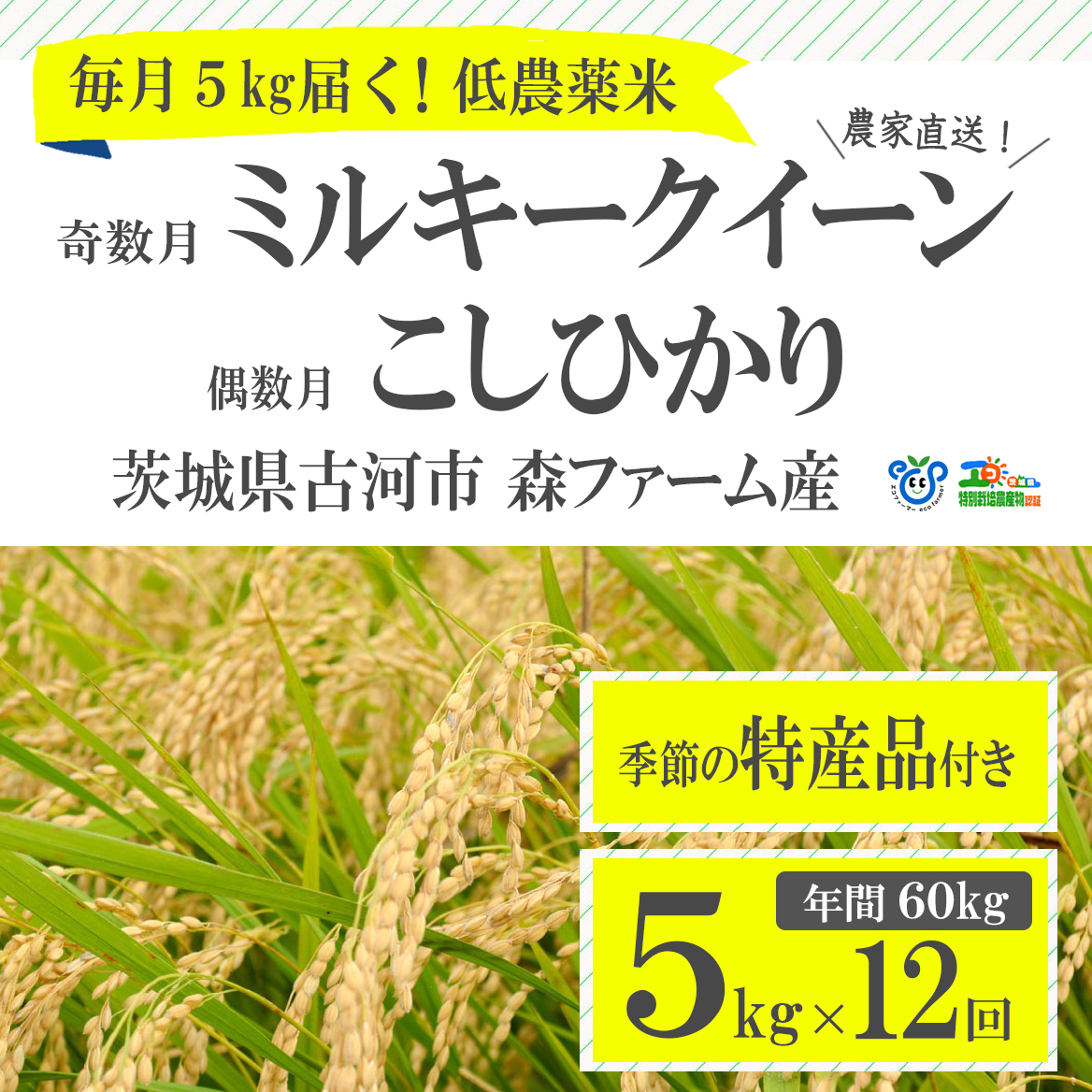 [定期便]1年間毎月届く!低農薬米こしひかり(偶数月)とミルキークイーン(奇数月)5kg_BI03 ※季節の特産品付き