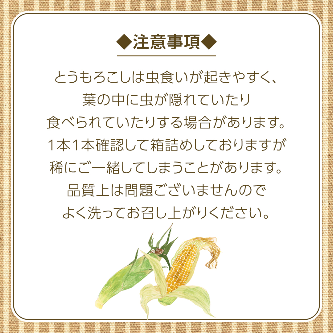茨城県八千代町のふるさと納税 朝採り 農家直送 とうもろこし 6kg 「 おおもの 」【 先行予約 ・ 7月中旬以降発送】トウモロコシ スイートコーン コーン 野菜 大粒 大きい 新鮮 甘い 高糖度 サラダ 八千代町産 茨城県産 産地直送 [AX027ya]