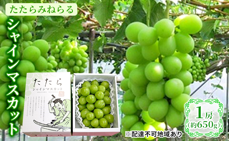 ぶどう 2024年 先行予約 たたらみねらる シャインマスカット 1房(約650g) 岡山県産 葡萄 果物 フルーツ