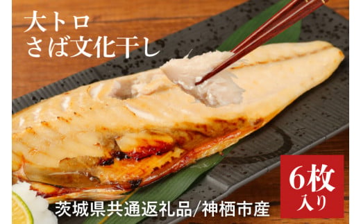 【茨城県鹿嶋市】【茨城県共通返礼品】神栖市産 大トロさば文化干し 1枚真空6パック (KCV-1)
