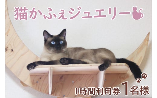 【茨城県鹿嶋市】鹿嶋市の癒しの空間 猫カフェでまったり 猫かふぇジュエリー 1時間利用券セット 1名様 (KCS-1)