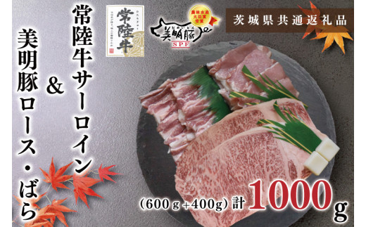 【茨城県共通返礼品】【常陸牛A5ランク・美明豚ステーキ焼肉セット】常陸牛サーロイン600ｇ（300ｇ×２枚）＋美明豚400ｇ（ロース200ｇ・ばら200ｇ）（KCK-35）