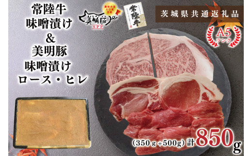y錧szy錧ʕԗizy헤A5NEؖXЂZbgz헤XЂ350{500g([X200gEq300g)iKCK-65j
