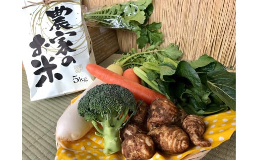 【栽培期間農薬不使用】お米と野菜セット 【おいしい ごはん やさい セット グルメ 無農薬】（KBE-22）