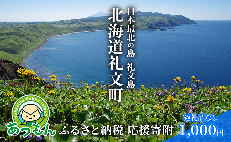 【北海道礼文町】北海道礼文町 寄附のみの応援受付 1,000円コース(返礼品なし 寄附のみ 1000円)
