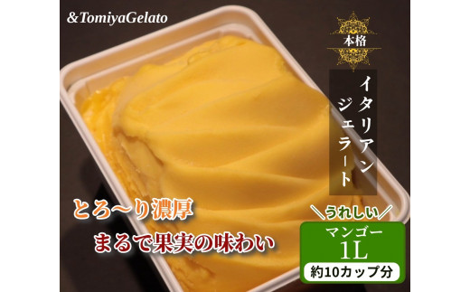 宮城県富谷市のふるさと納税 [＆とみやジェラート] マンゴー 1000ml｜アイス スイーツ 仙台 富谷 とみやど 牧場 デザート イタリアンジェラート [0202]