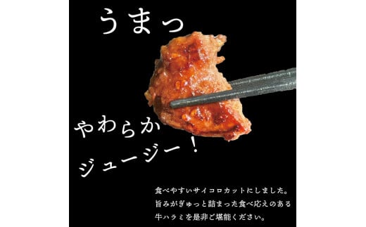 宮城県富谷市のふるさと納税 べこ政宗【牛ハラミたれ仕込み】750g (250g×3)｜牛肉 牛ハラミ 焼肉用 冷凍 小分け 焼肉 BBQ、味付き 家計応援 焼くだけ [0219]