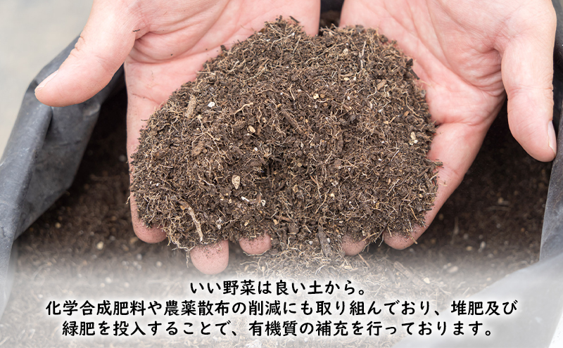 北海道富良野市のふるさと納税 【2024年夏発送】ふらの ミニトマト 食べ比べ 各1kg×2種 計2kg（品種：ほれまる＆ラブリーさくら）北海道 富良野市 野菜 新鮮 直送 トマト 道産 ふらの 送料無料 数量限定 先着順